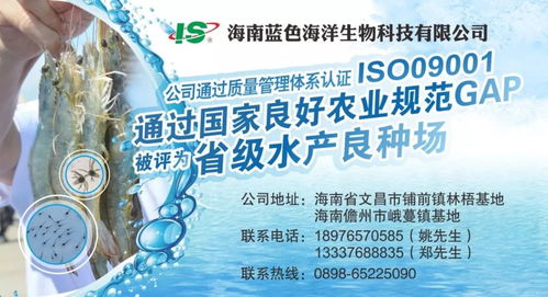 40℃高溫下的堅守與遺忘 水產業務員背后的汗與淚